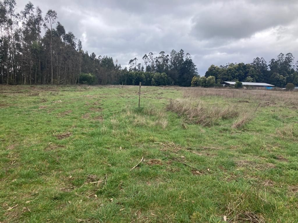 Parcela en venta en Freire — foto 6