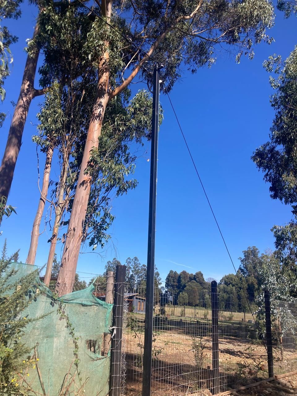 Parcela en venta en Freire — foto 8
