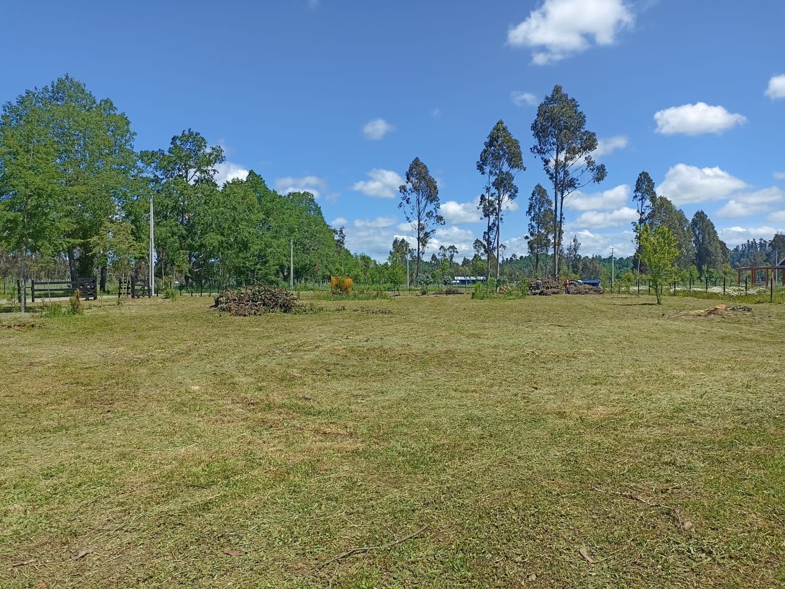 Parcela en venta en Pitrufquén — foto 4
