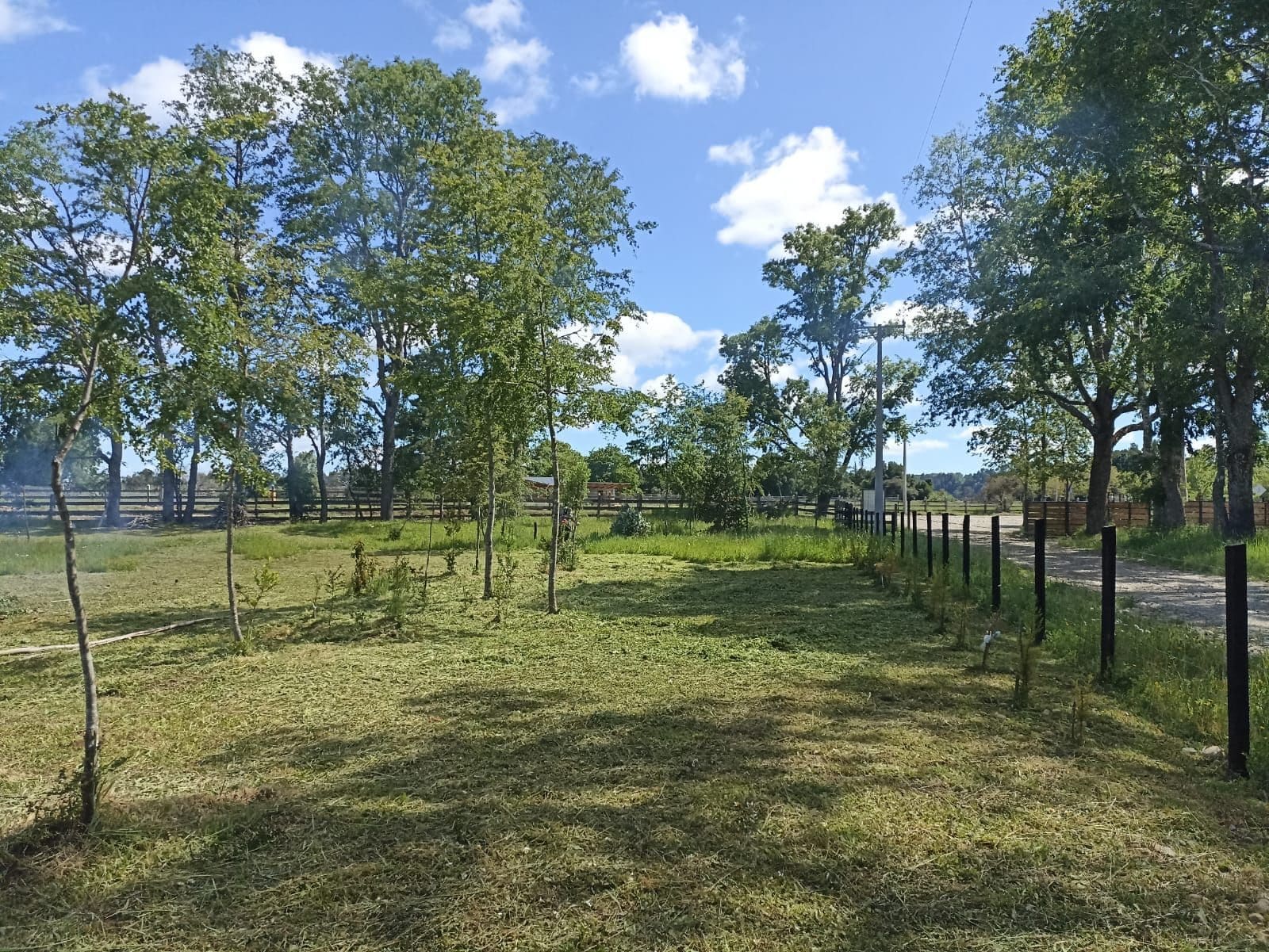 Parcela en venta en Pitrufquén — foto 5