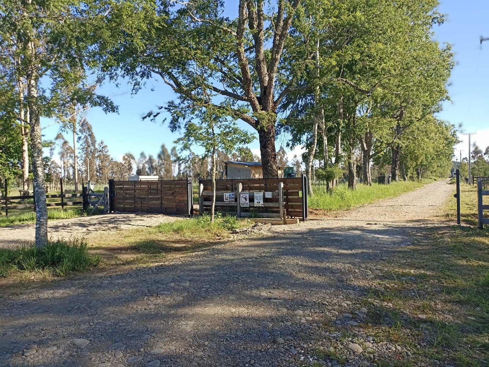 Parcela en venta en Pitrufquén — foto 8