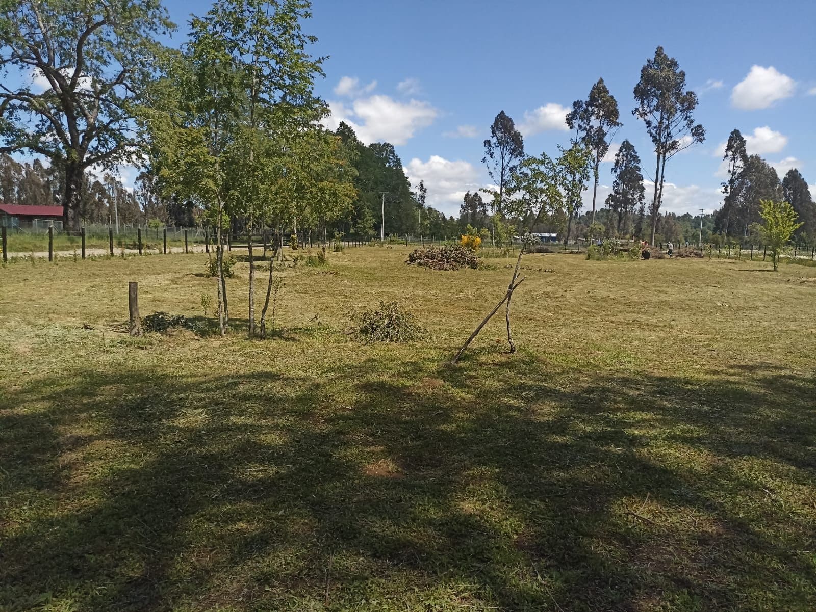 Parcela en venta en Pitrufquén — foto 9