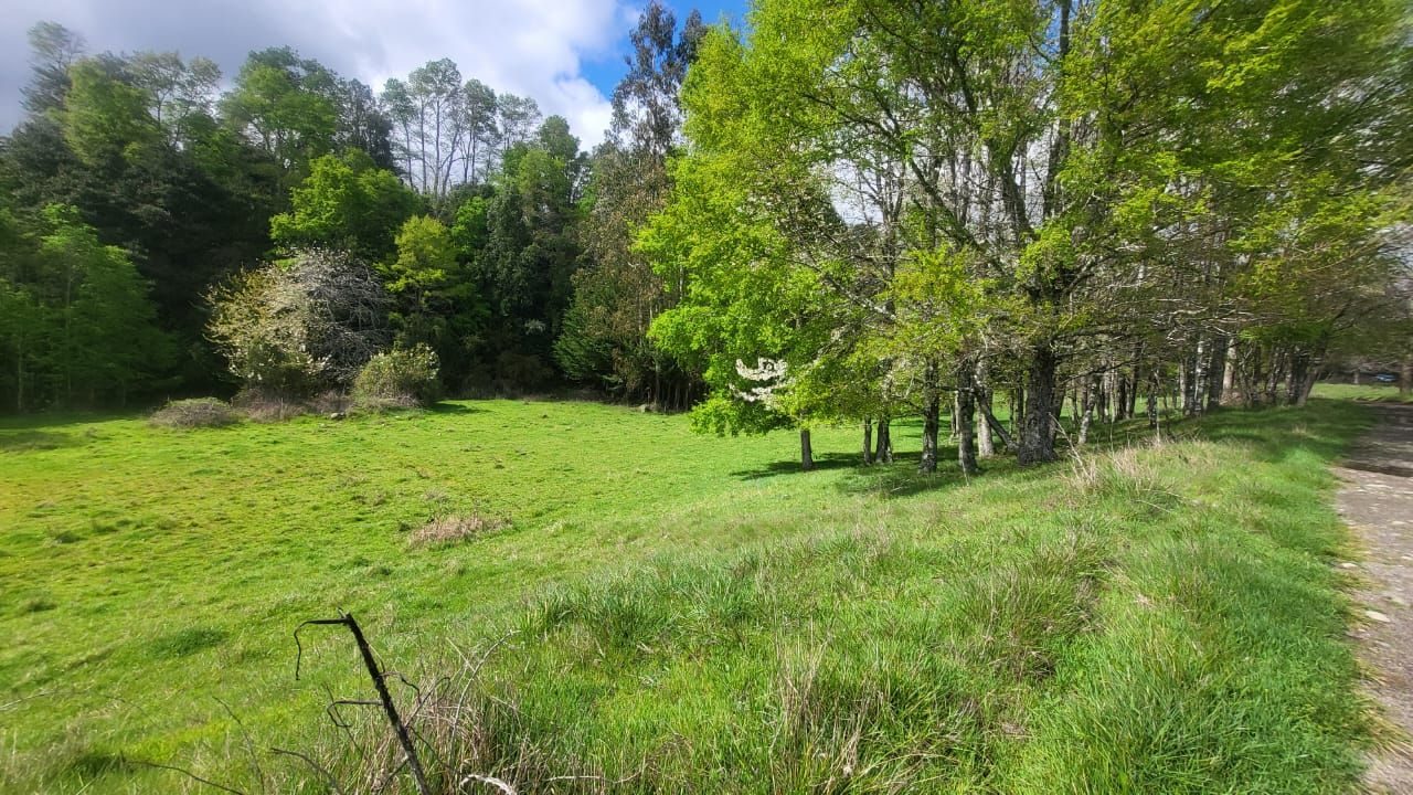 Parcela en venta en Cunco — foto 2