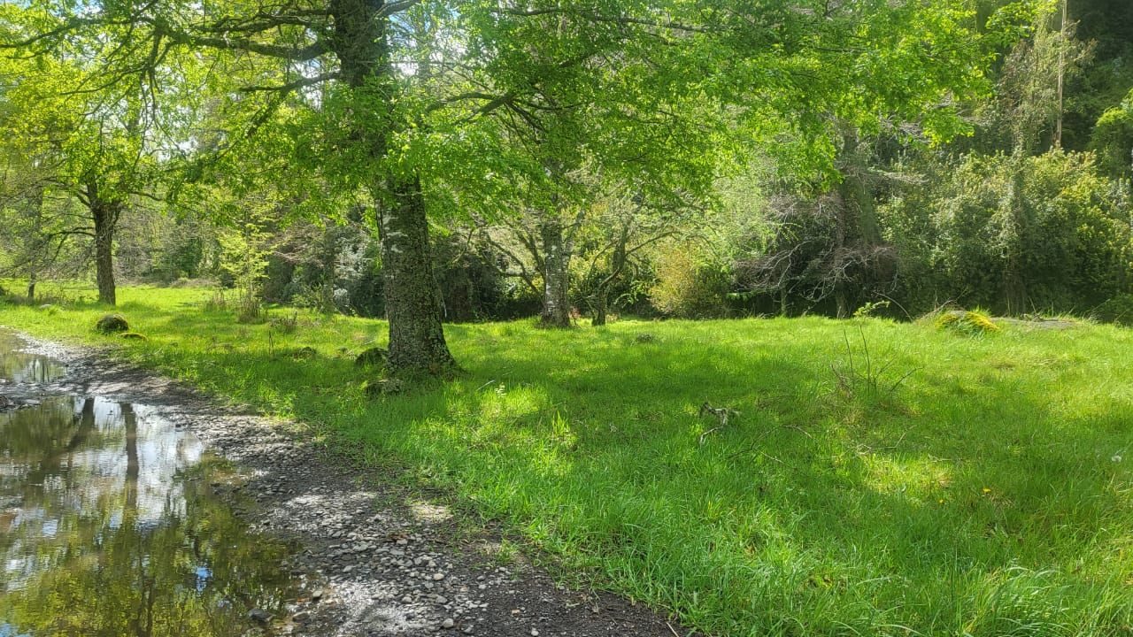 Parcela en venta en Cunco — foto 3