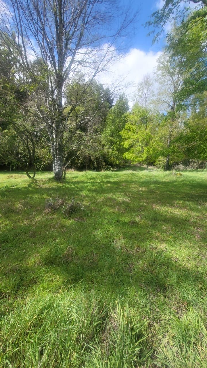 Parcela en venta en Cunco — foto 6