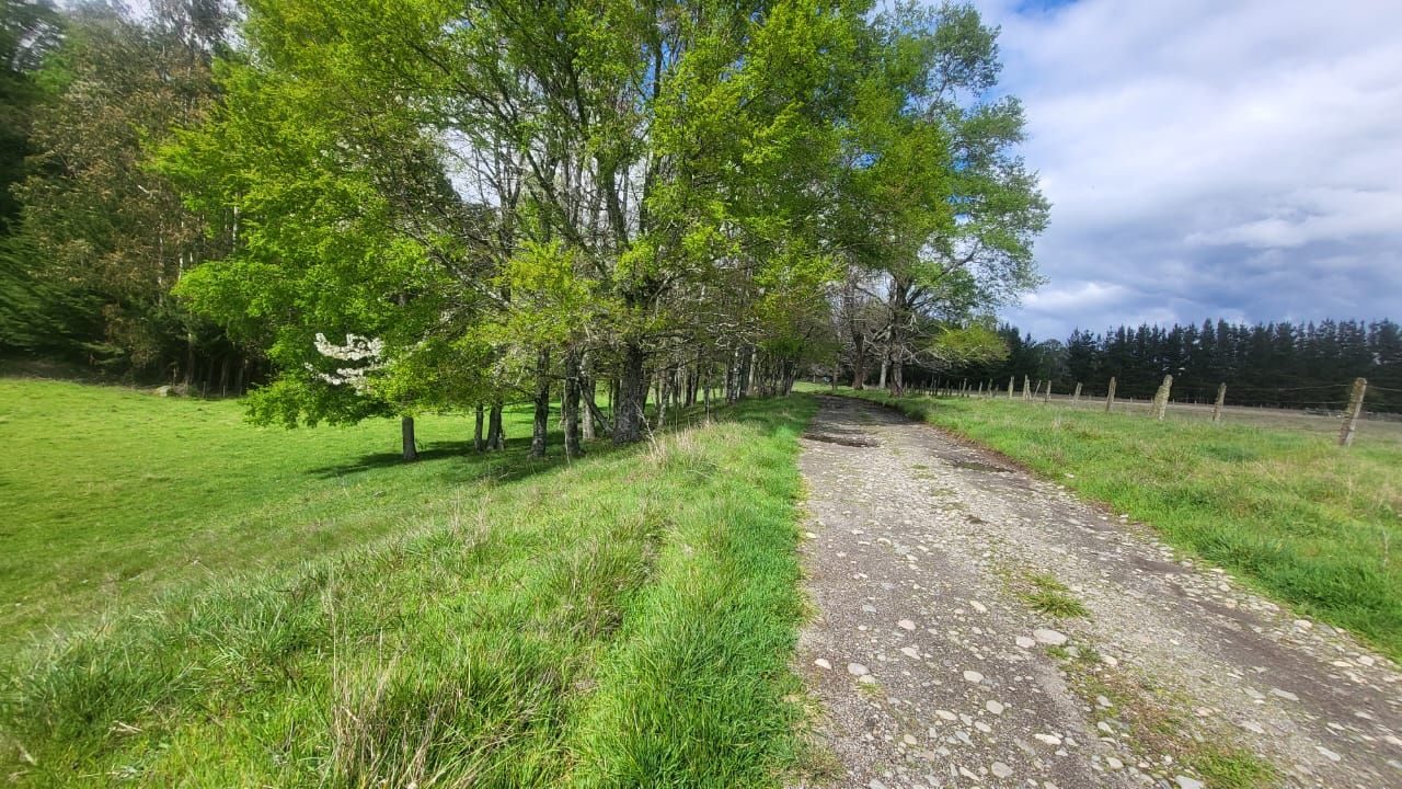 Parcela en venta en Cunco — foto 7