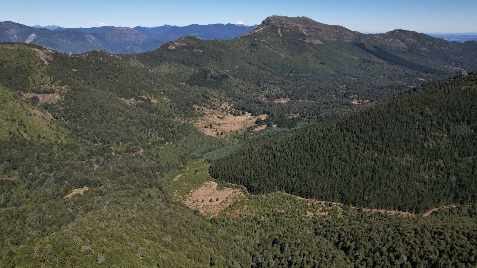 Parcela en venta en Cunco — foto 1