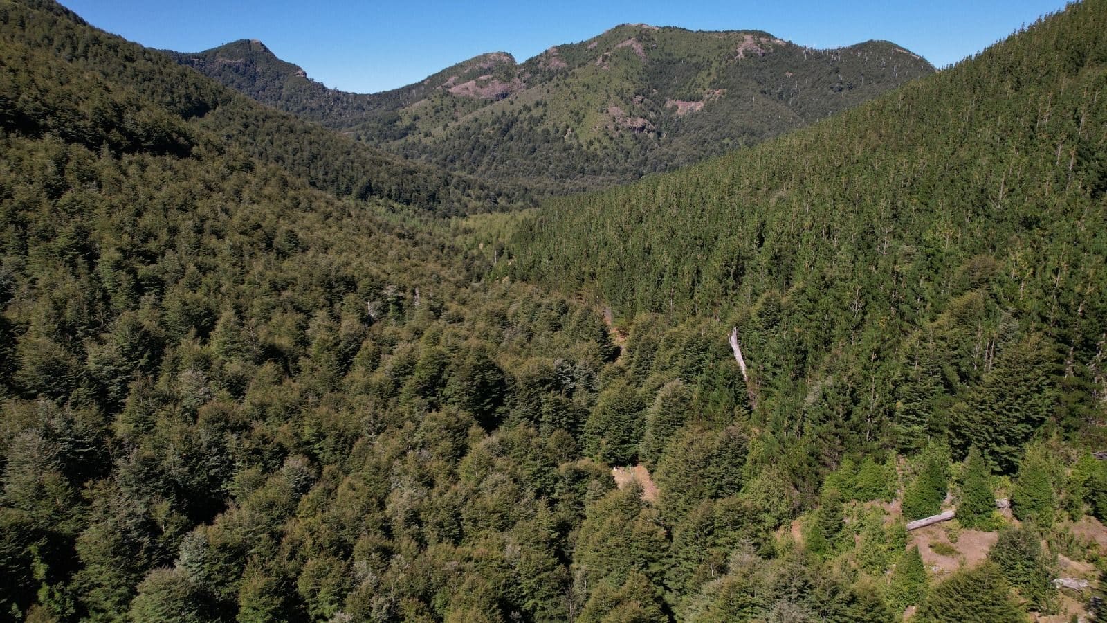 Parcela en venta en Cunco — foto 2