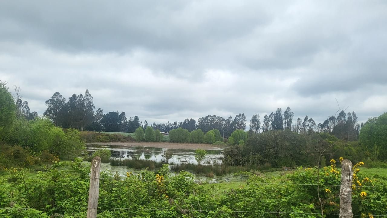 Parcela en venta en Temuco — foto 2