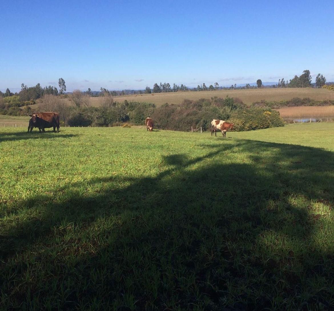 Parcela en venta en Temuco — foto 6