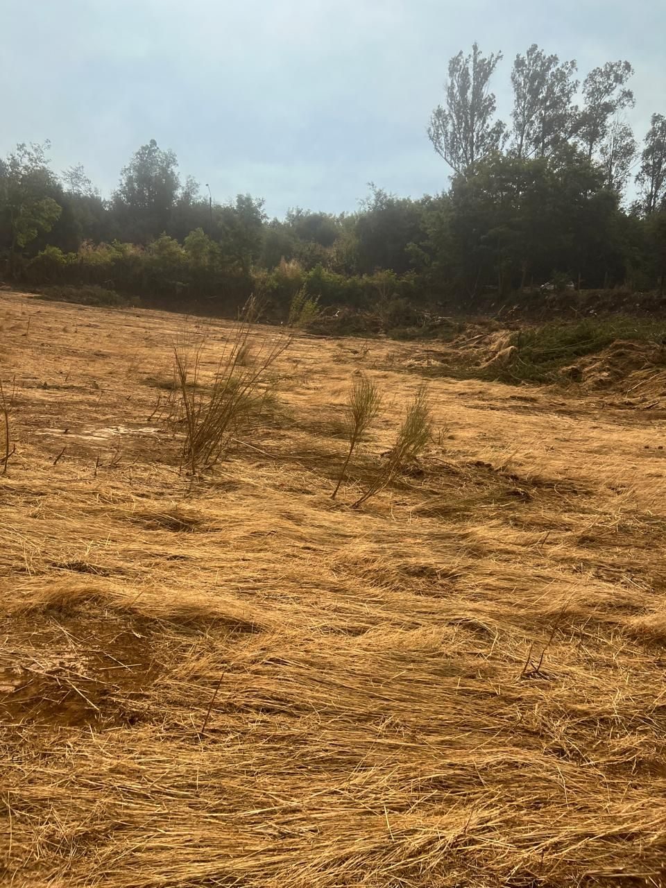 Terreno en venta en Traiguén — foto 3