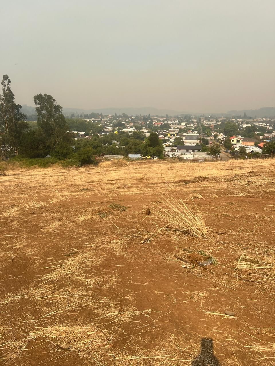 Terreno en venta en Traiguén — foto 4