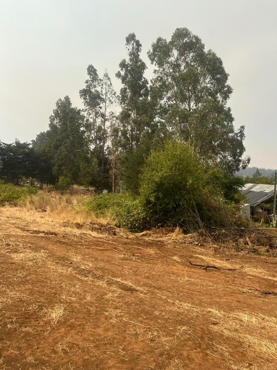 Terreno en venta en Traiguén — foto 7