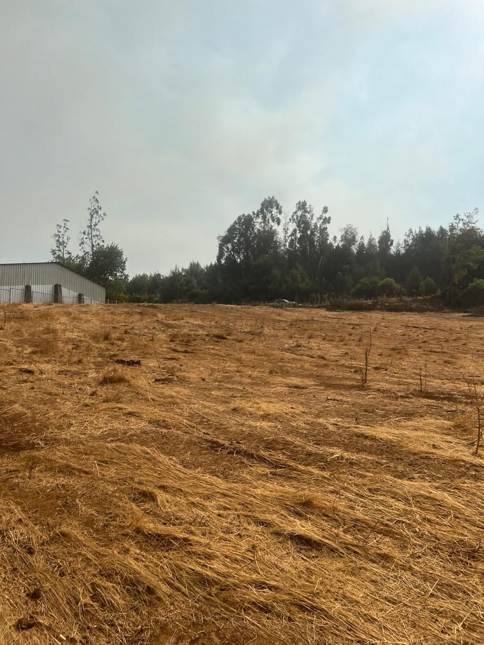Terreno en venta en Traiguén — foto 8