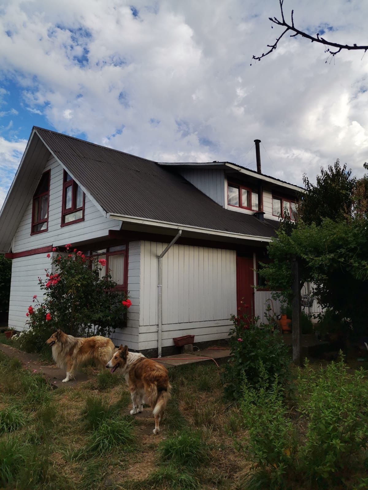 Parcela en venta en Cunco — foto 2