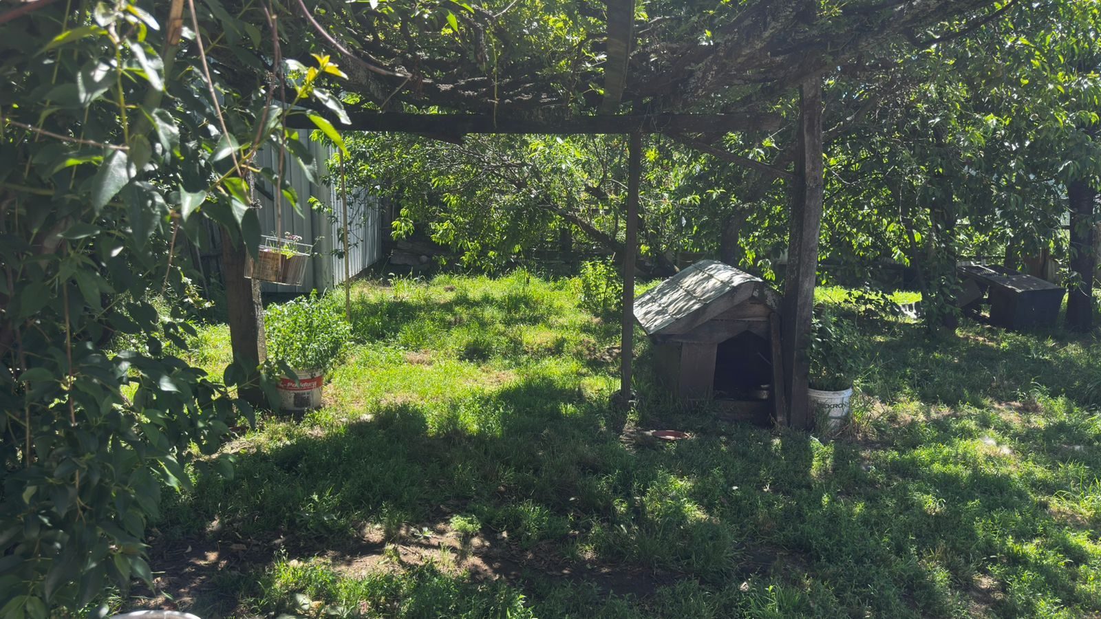 Parcela en venta en Cunco — foto 9