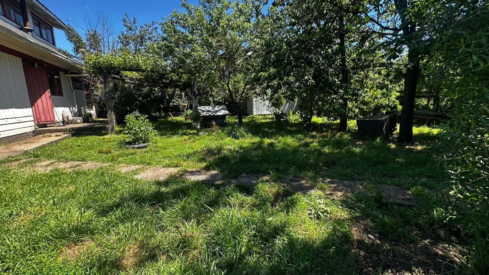 Parcela en venta en Cunco — foto 10