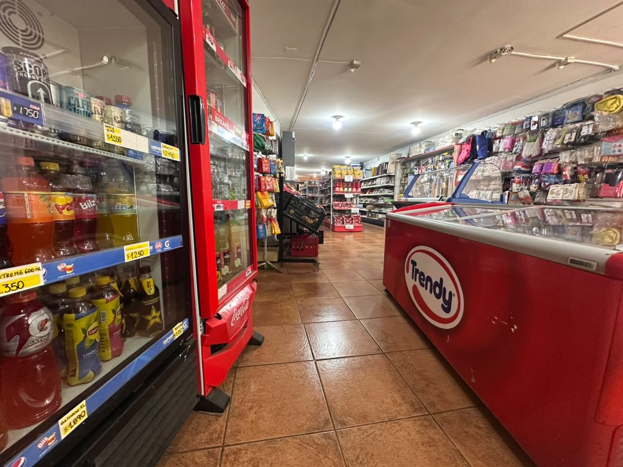 Local comercial en venta en Temuco — foto 5