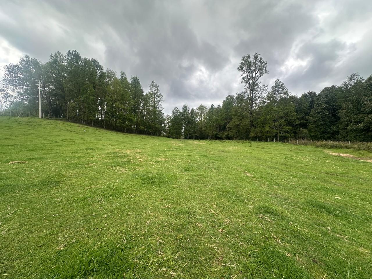 Parcela en venta en Cunco — foto 3