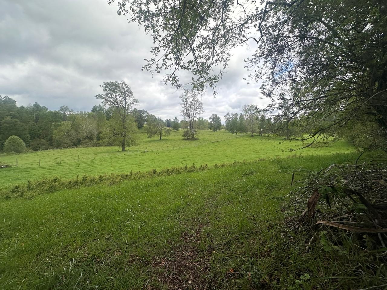 Parcela en venta en Cunco — foto 5