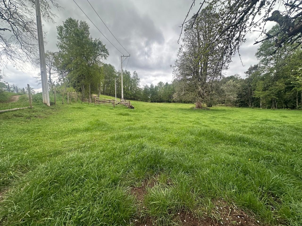Parcela en venta en Cunco — foto 7