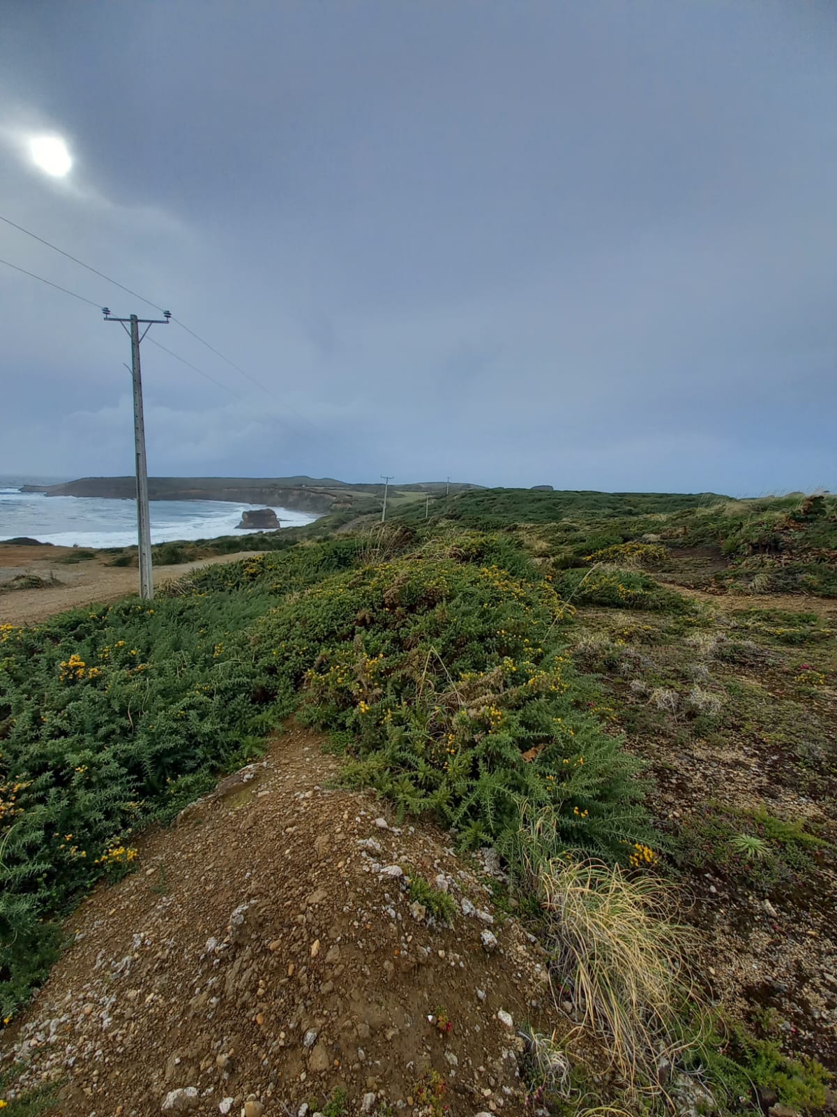 Parcela en venta en Ancud — foto 3