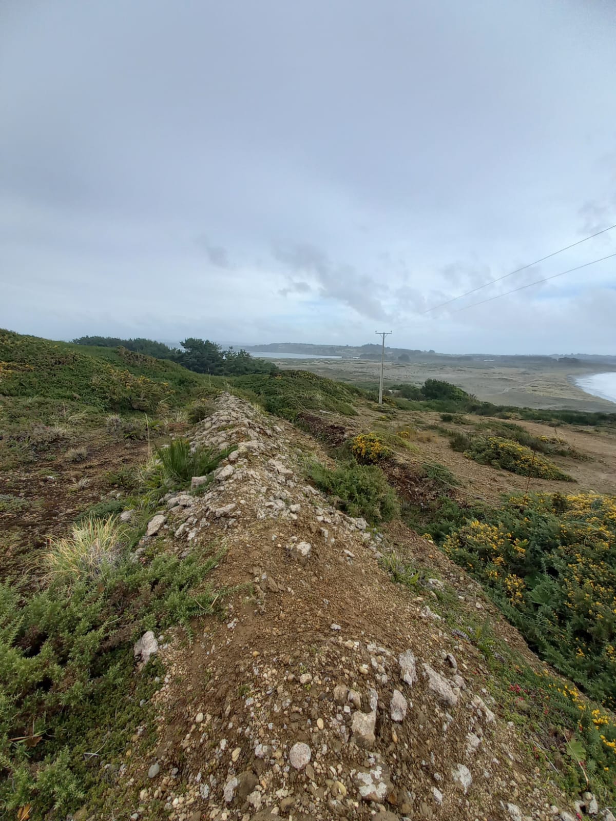 Parcela en venta en Ancud — foto 4