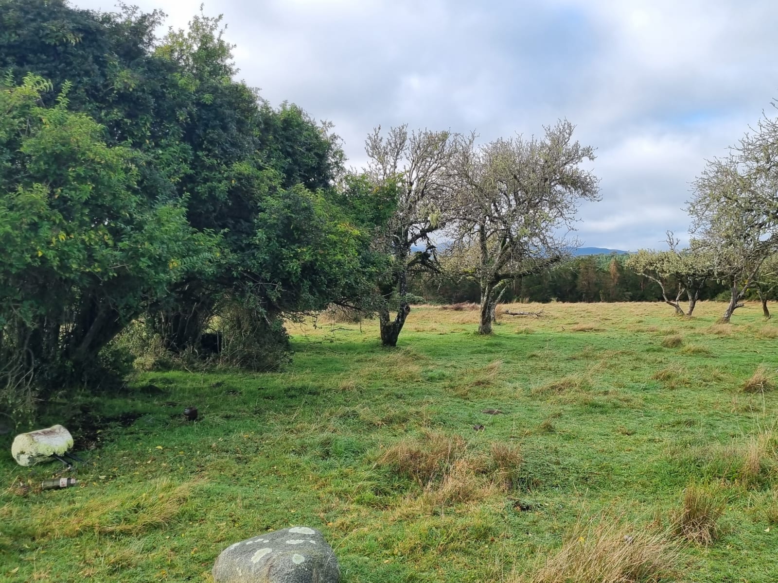 Parcela en venta en Hualaihué — foto 6