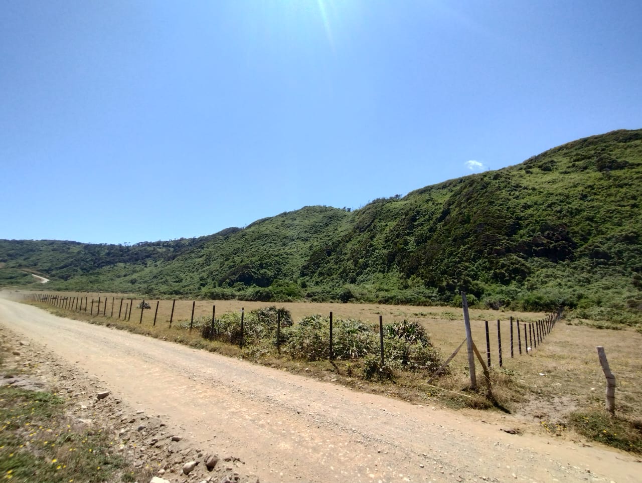 Parcela en venta en Los Muermos — foto 2