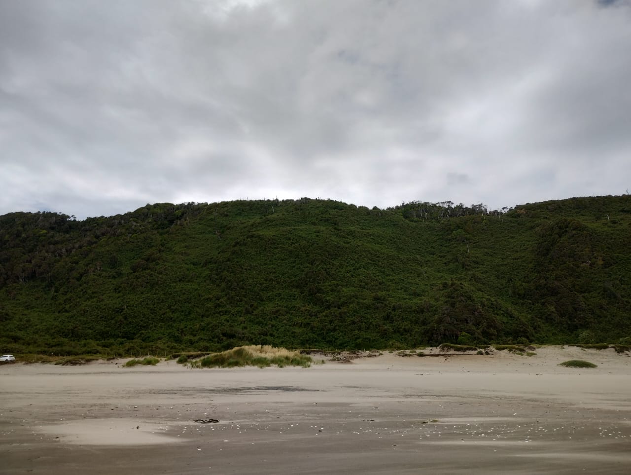 Parcela en venta en Los Muermos — foto 3