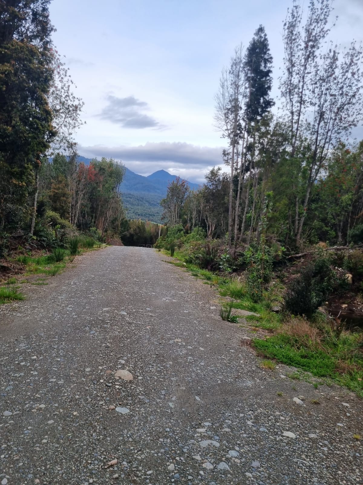 Parcela en venta en Puerto Montt — foto 4