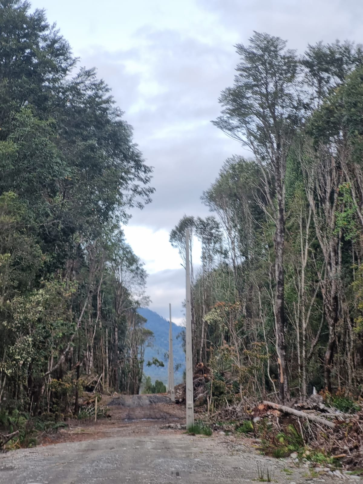 Parcela en venta en Puerto Montt — foto 6