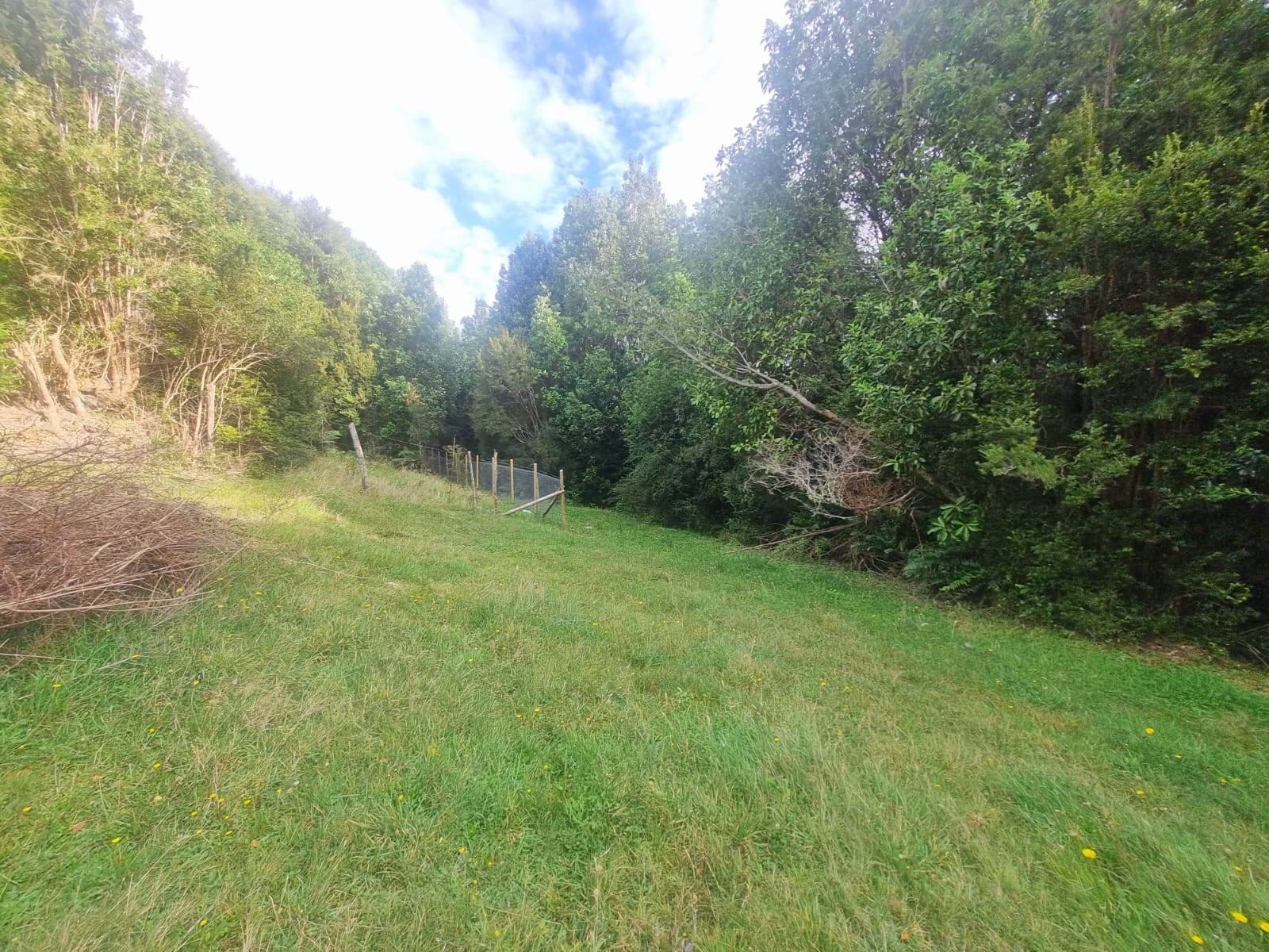 Parcela en venta en Puerto Montt — foto 2