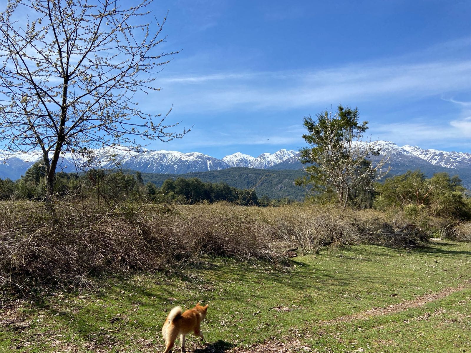 Campo en venta en Cochamó — foto 6