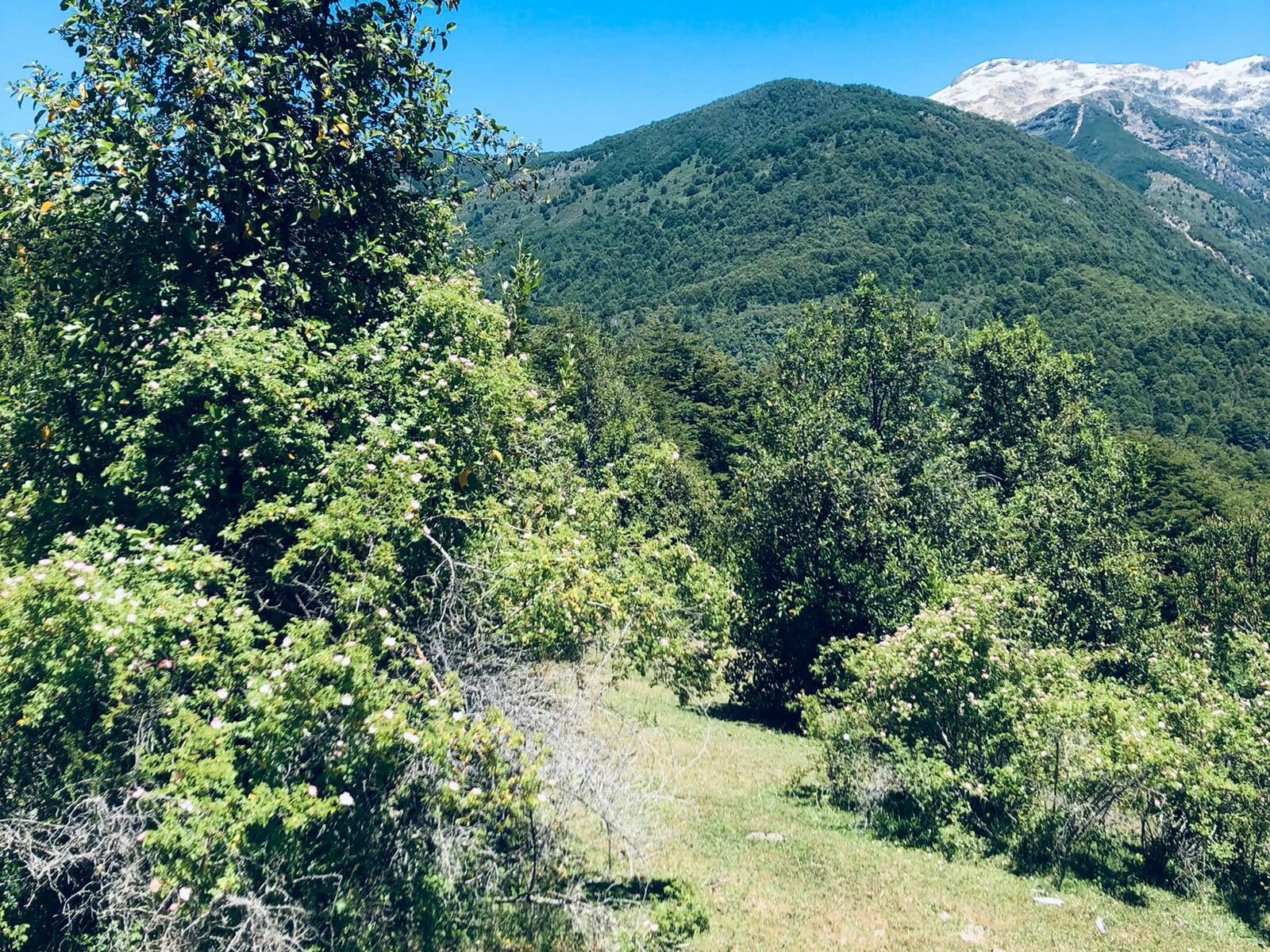 Campo en venta en Cochamó — foto 7