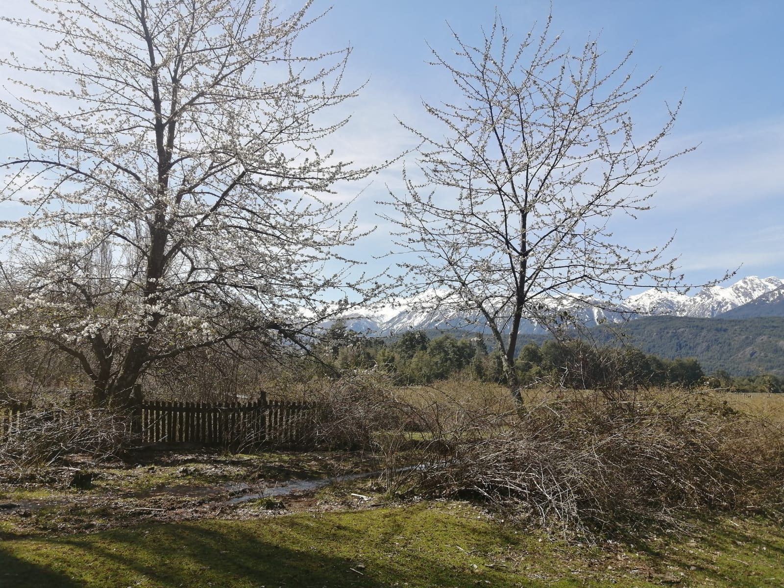 Campo en venta en Cochamó — foto 8