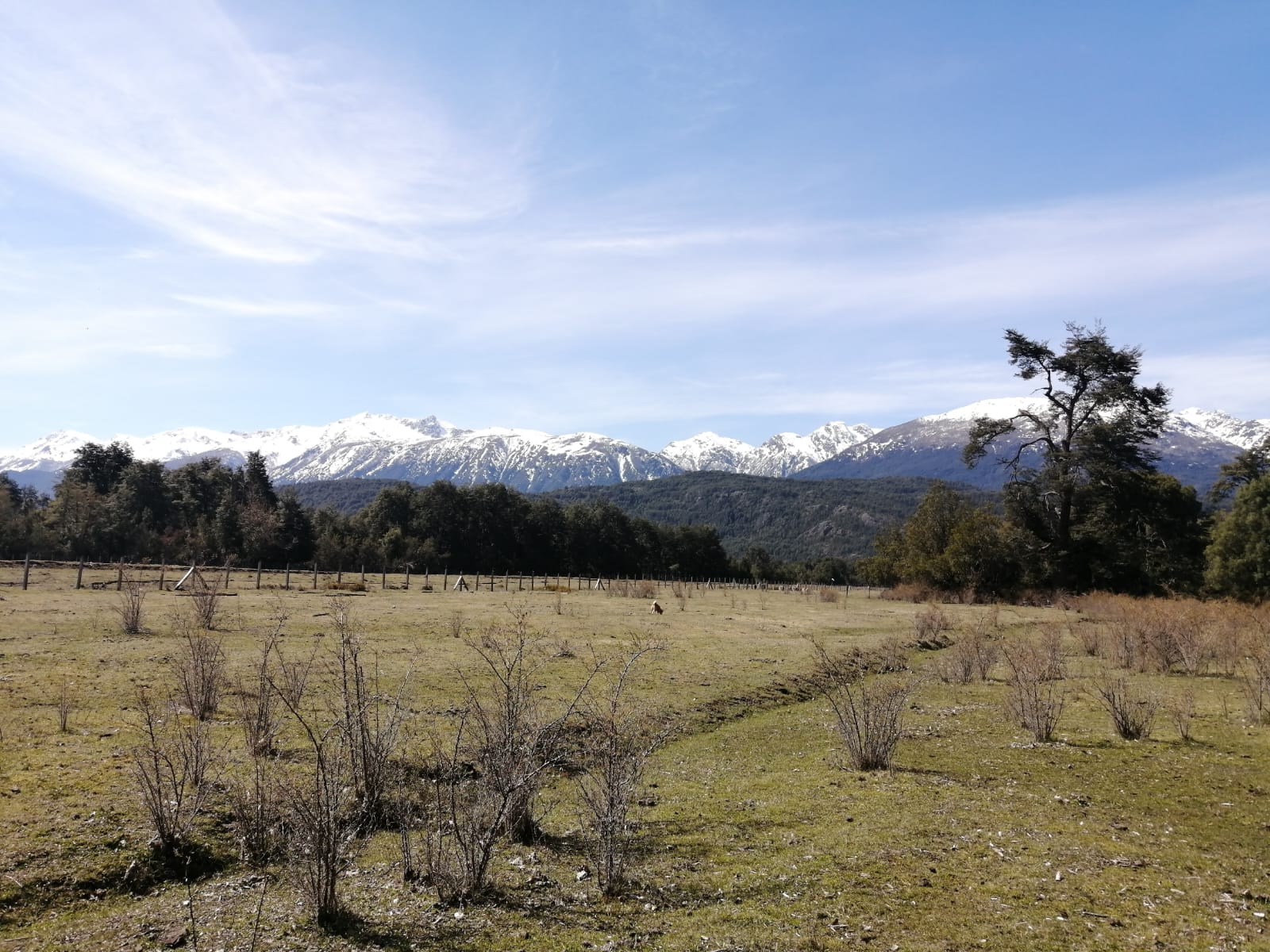 Campo en venta en Cochamó — foto 9