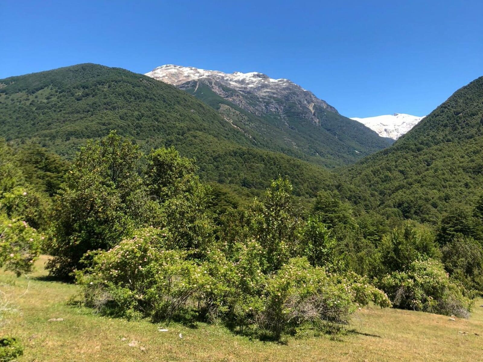 Campo en venta en Cochamó — foto 1