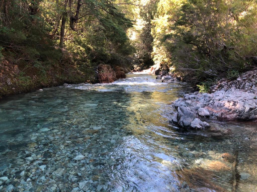 Campo en venta en Cochamó — foto 2