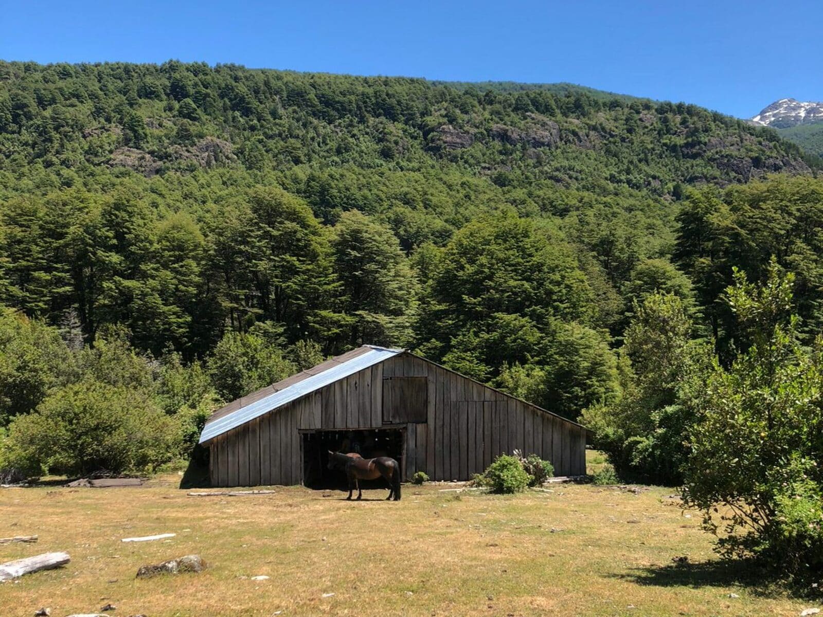 Campo en venta en Cochamó — foto 3