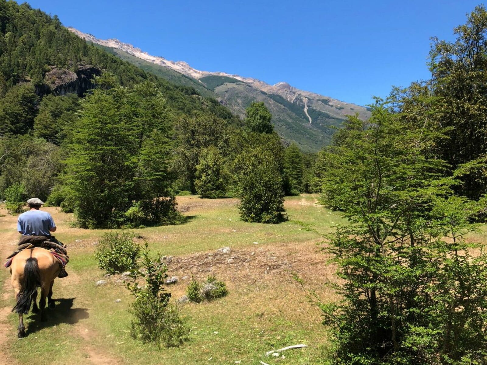 Campo en venta en Cochamó — foto 4