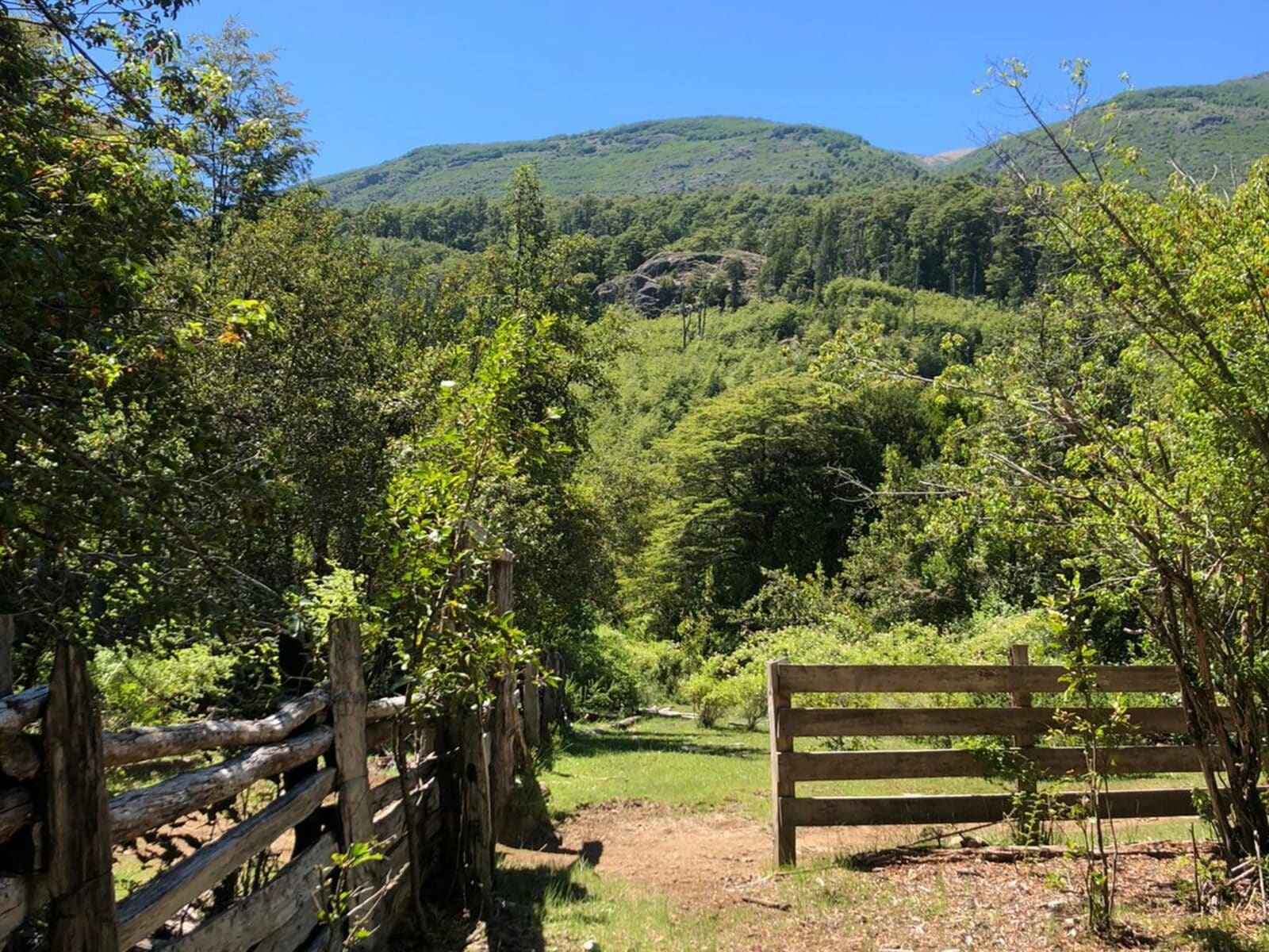 Campo en venta en Cochamó — foto 5