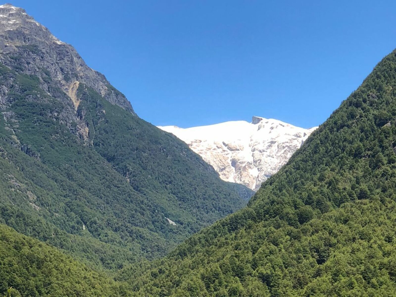 Campo en venta en Cochamó — foto 6