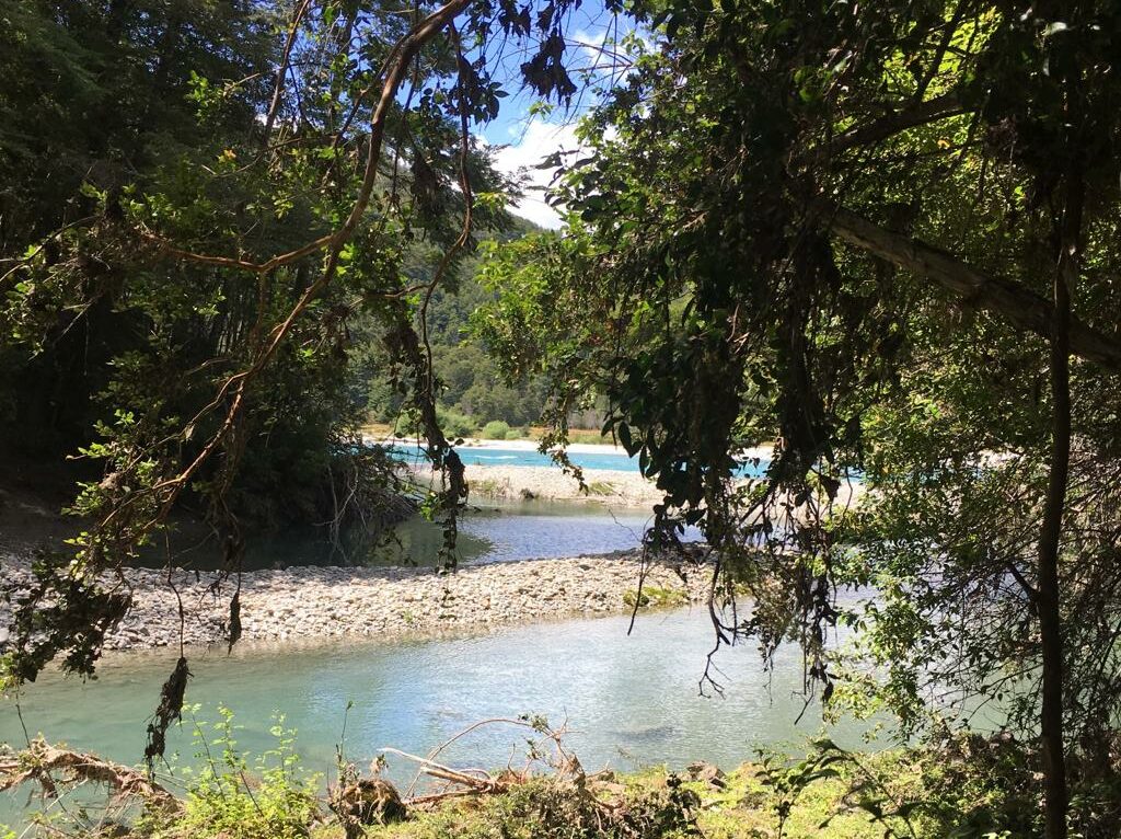 Campo en venta en Cochamó — foto 7