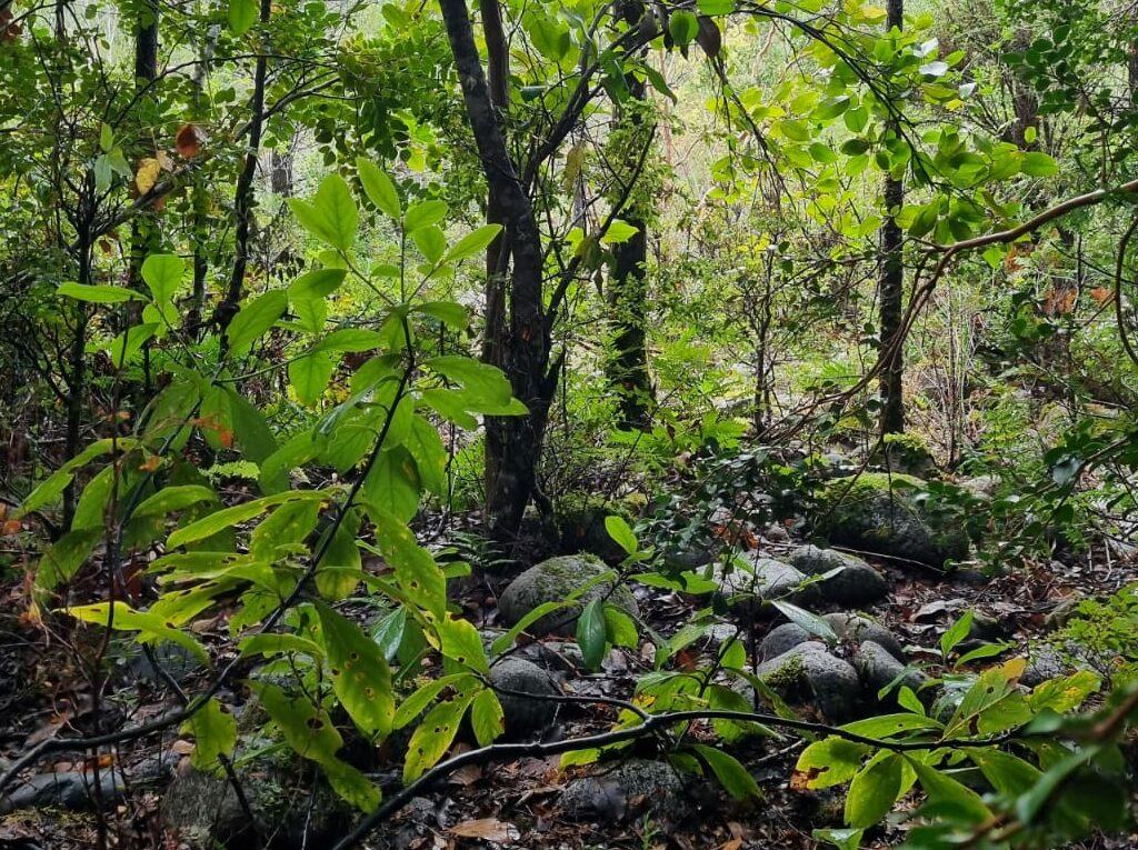Campo en venta en Cochamó — foto 3