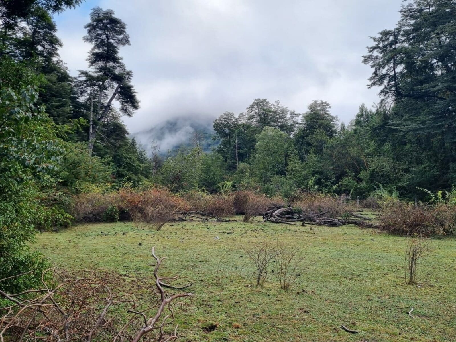 Campo en venta en Cochamó — foto 4