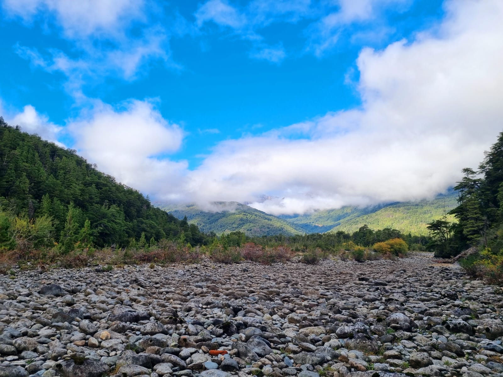 Campo en venta en Cochamó — foto 7