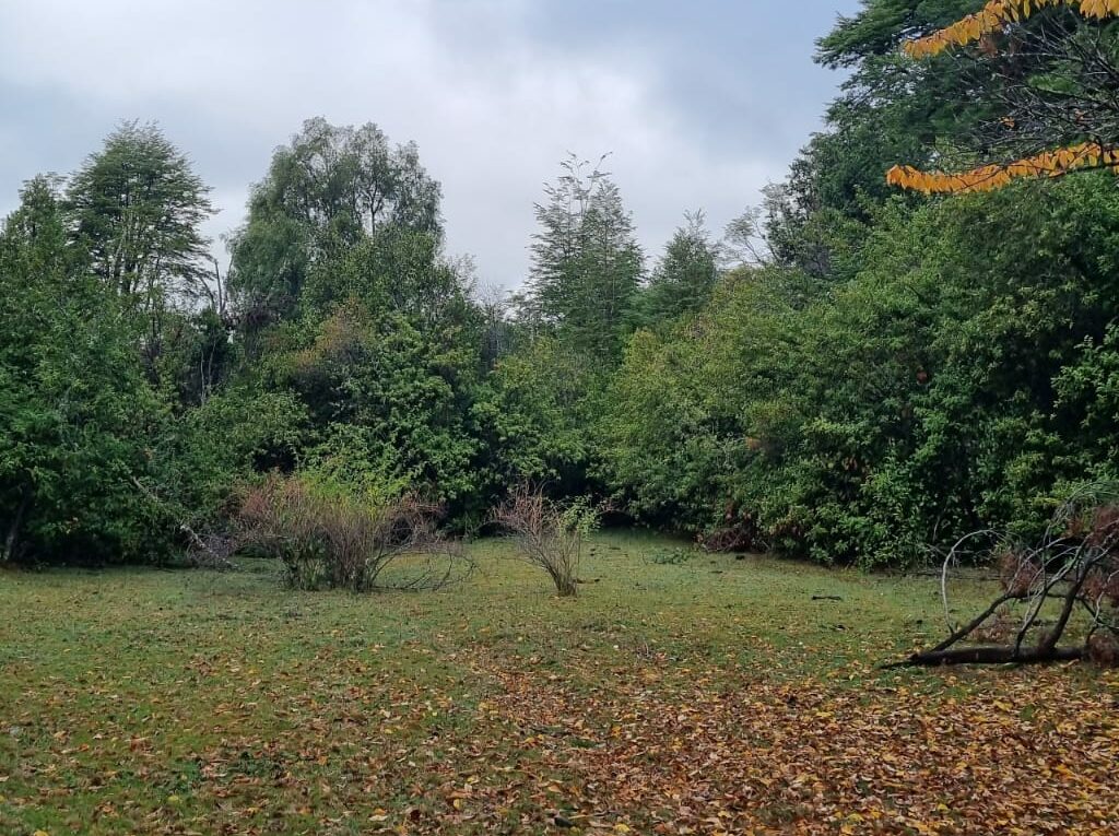 Campo en venta en Cochamó — foto 9