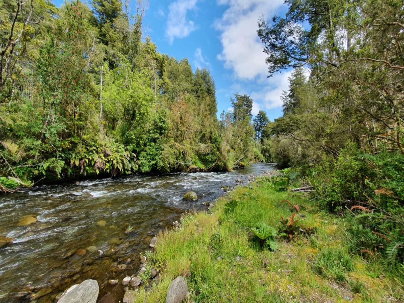 Campo en venta en Puerto Octay — foto 4