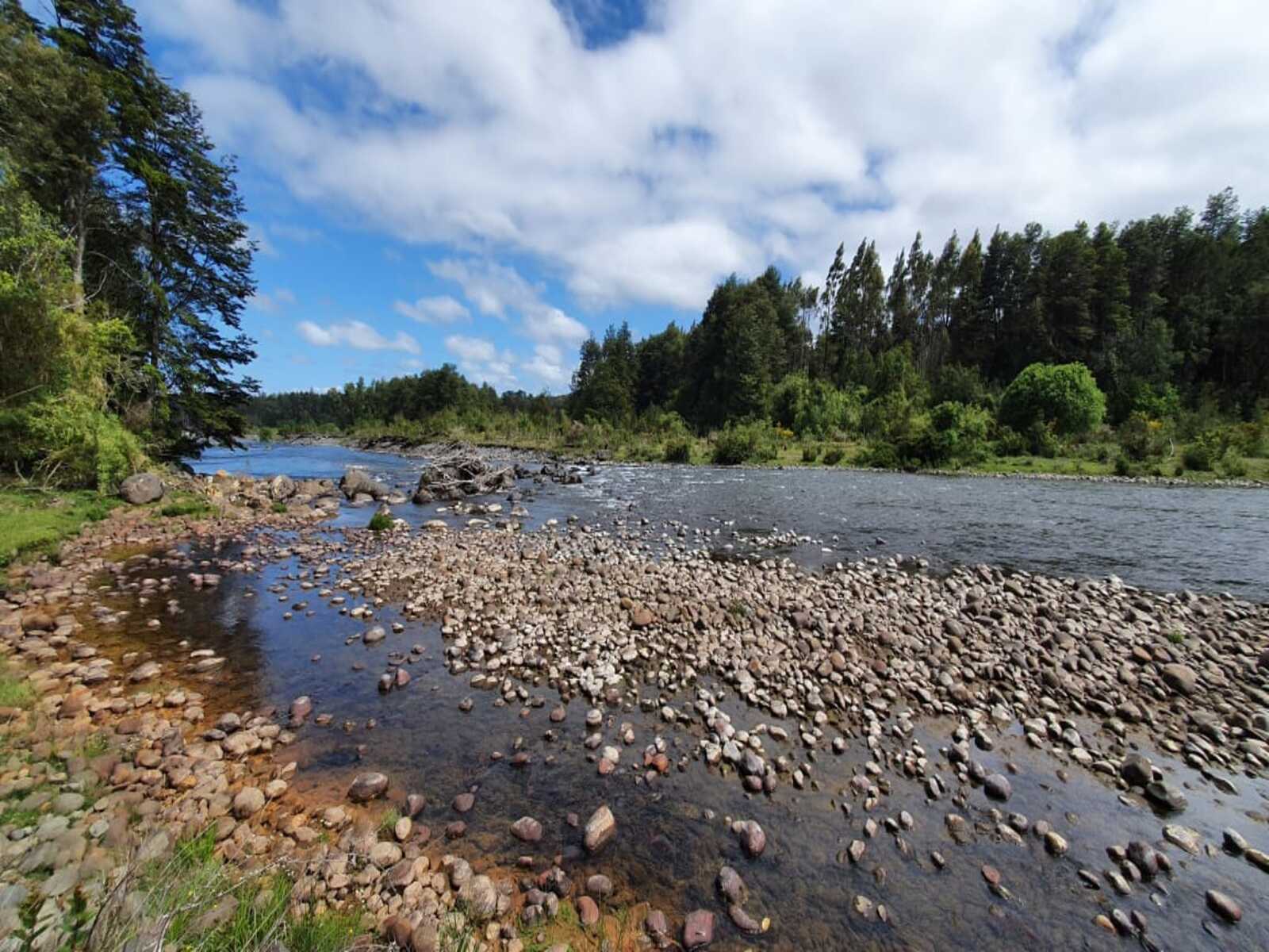 Campo en venta en Puerto Octay — foto 5